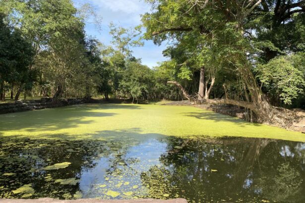 Andong Preng Pond © Beyondangkor.org
