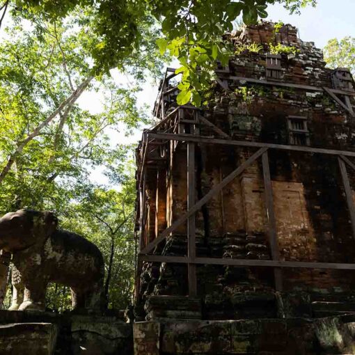Damrei Temple © National Authority of Preah Vihear