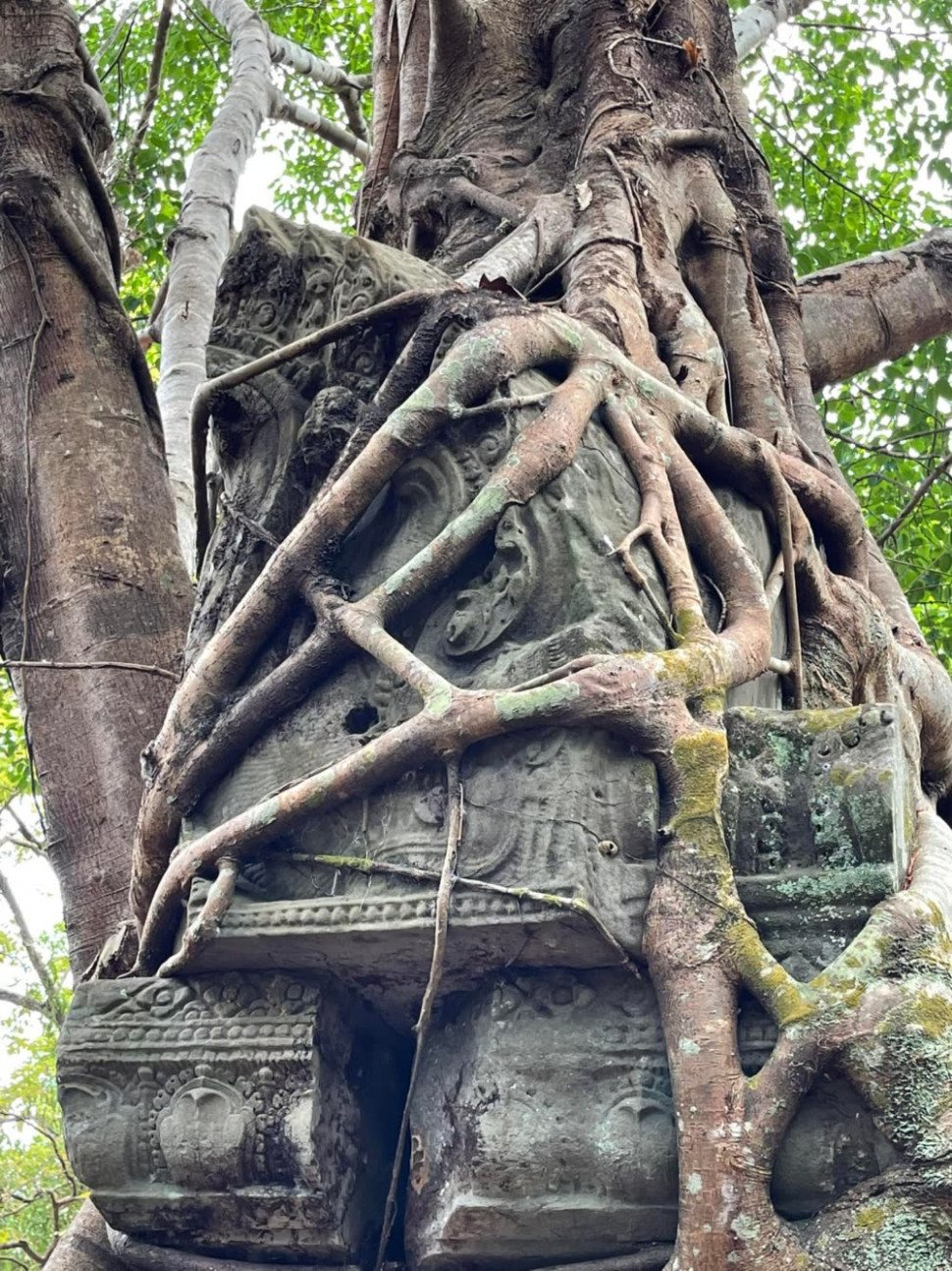 Trapheang Khnar Sen Keo Temple © Sabay News