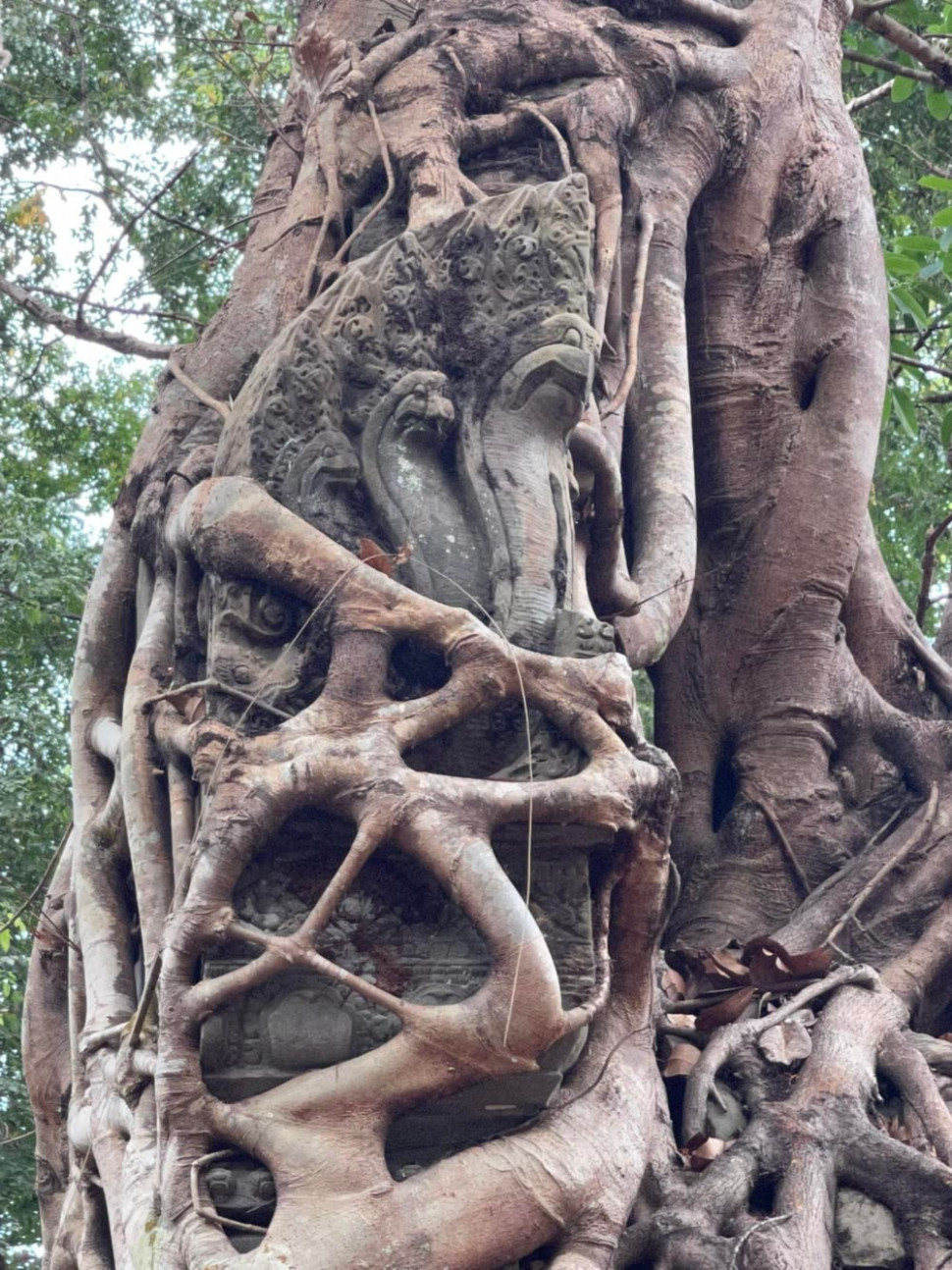 Trapheang Khnar Sen Keo Temple © Sabay News