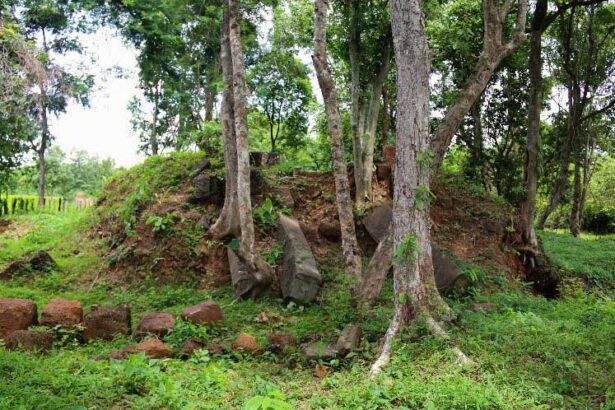 ReamKer Temple © National Authority of Preah Vihear